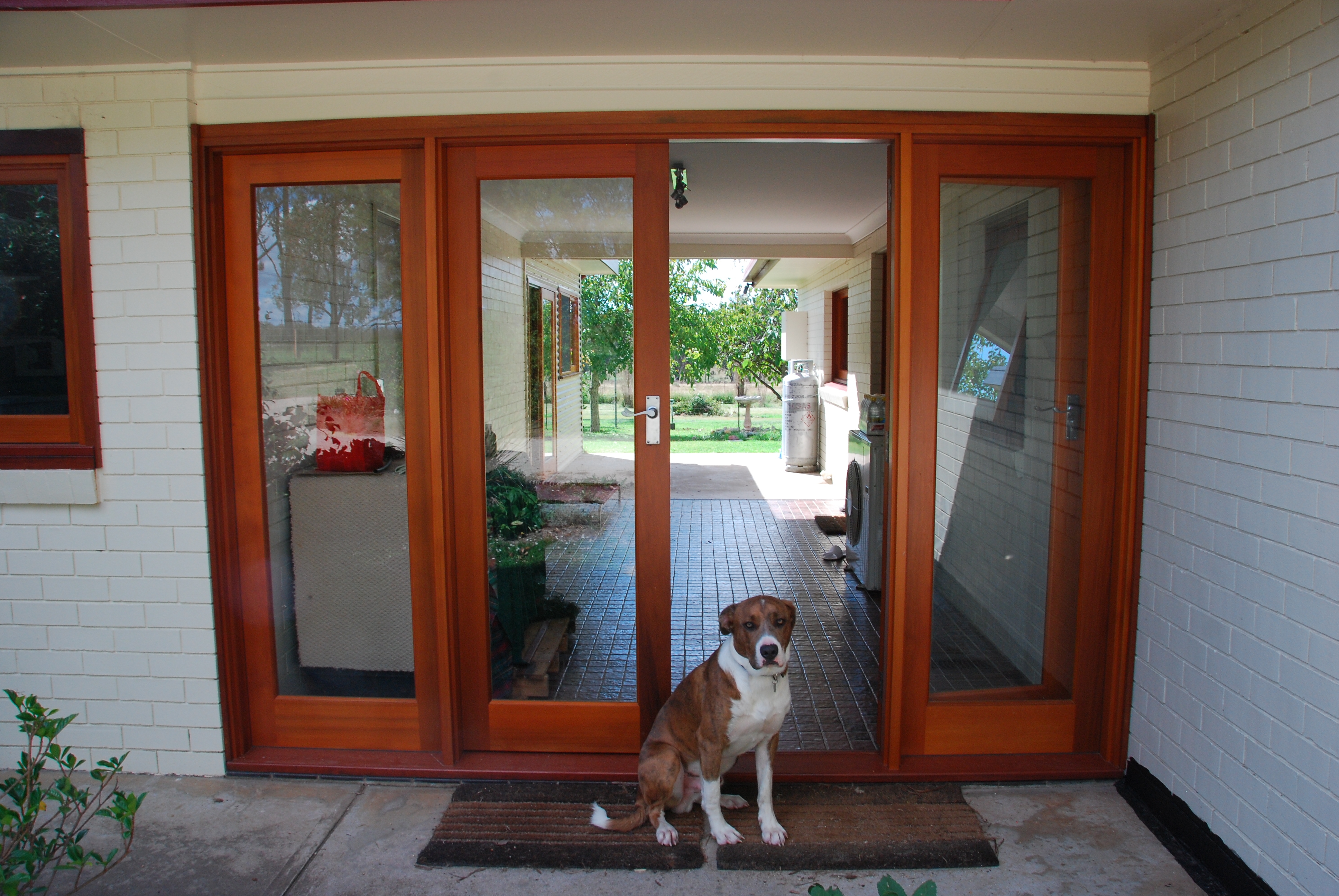French Doors with Fixed Door Sidelights and Beautiful Dog
